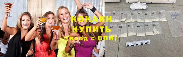 твердый Алексин